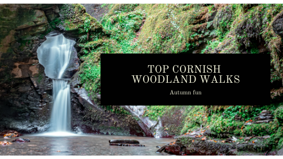 Top Cornish Woodland Walks