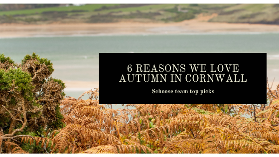 6 Reasons The Schoose Team Love Autumn in Cornwall