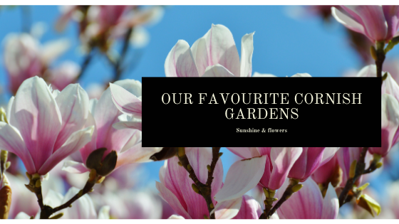 Our Favourite Cornish Gardens