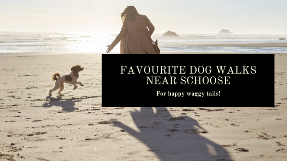 Favourite Dog Walks Near Schoose
