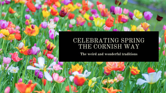 Celebrating Spring The Cornish Way