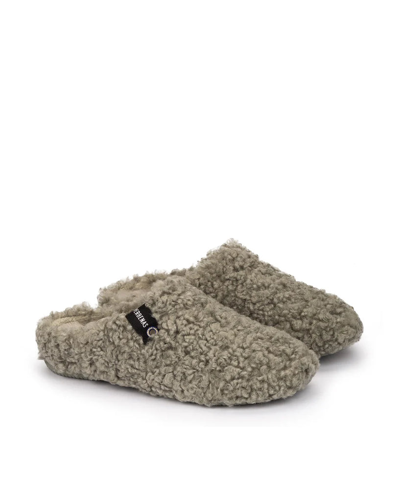 Verbenas York Curly Slipper Verde