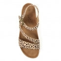 Lunar Muster Ladies Wedge Sandal Ocelot JLH529